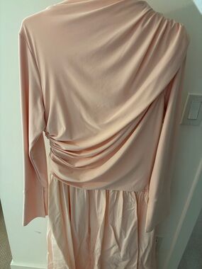 Summer Evenings Crepe Blush Asymmetric Draped Dress